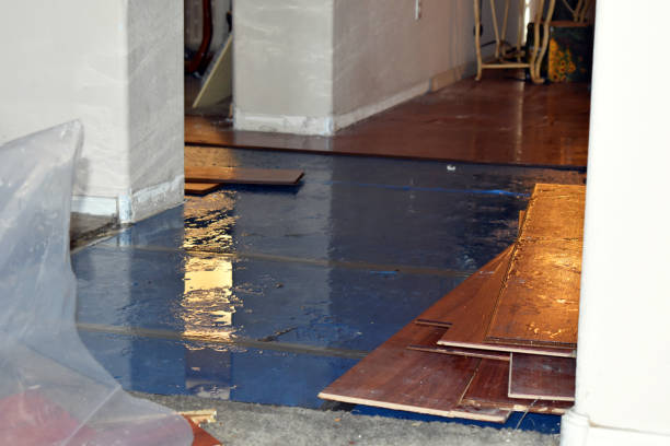 Professional Burst Pipe Cleanup technician working in Akron, NY